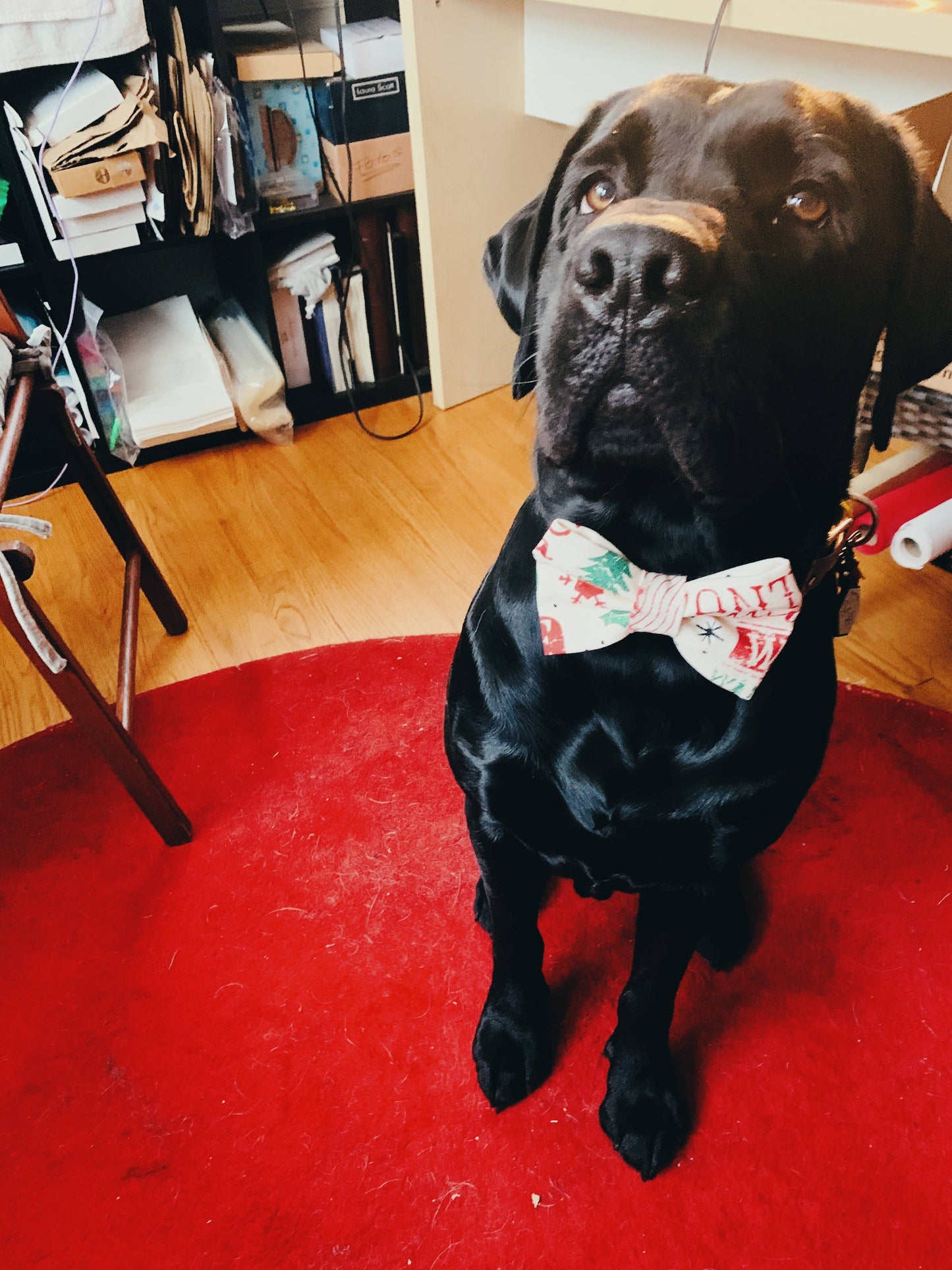 Bright pink bowtie for pets, attachable to most size collars