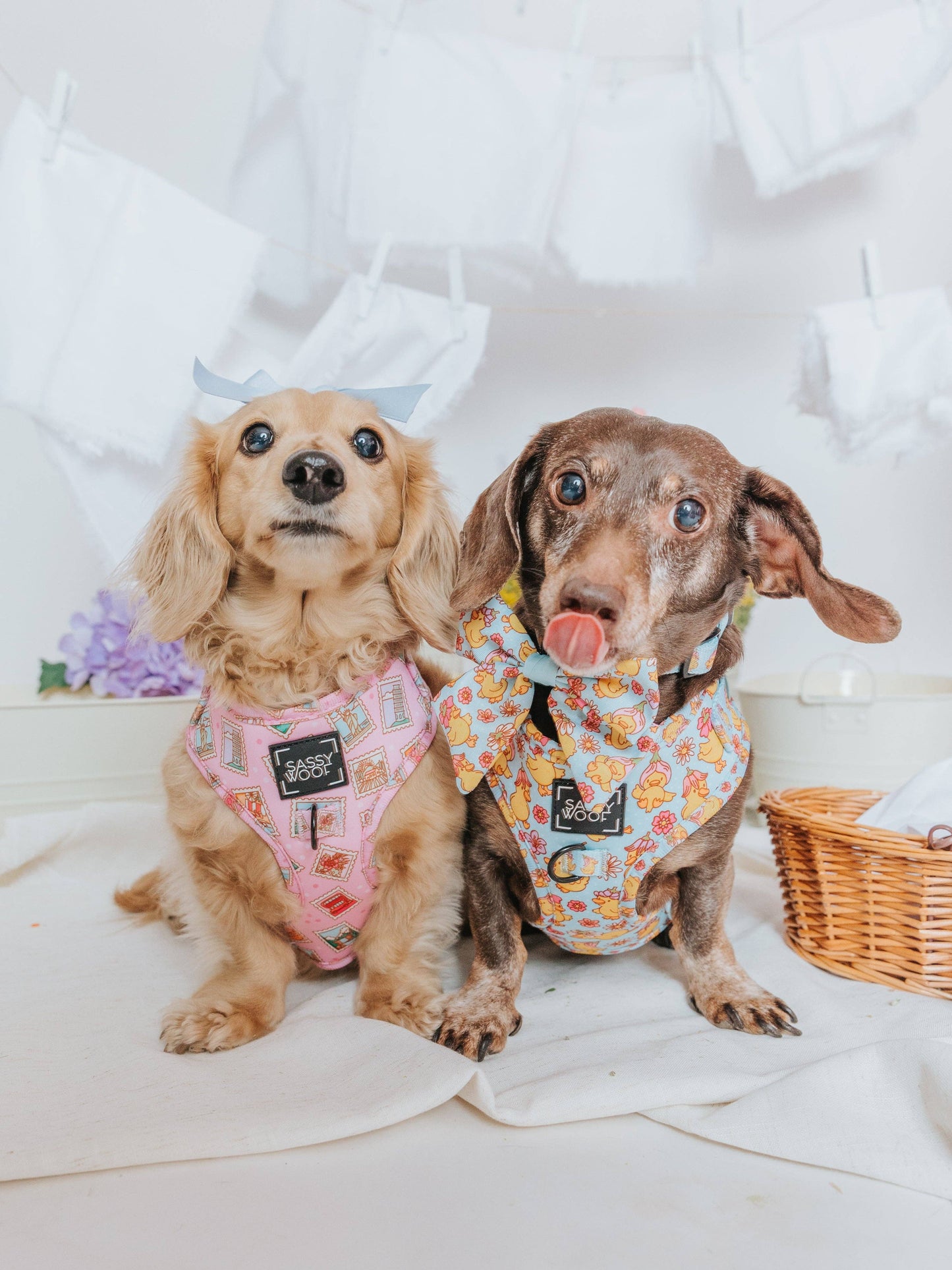 Dog Sailor Bow - Good Duck, Babe!