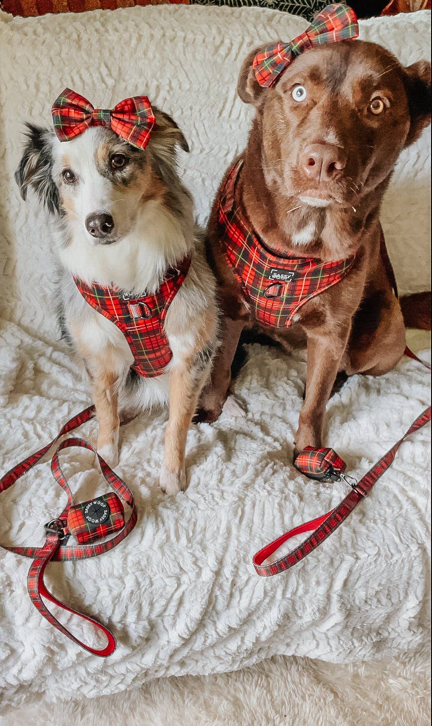 Dog Sailor Bow - Deck the Paws