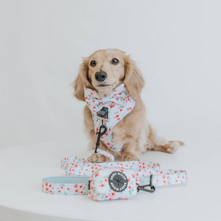 Dog Bowtie - Sakura