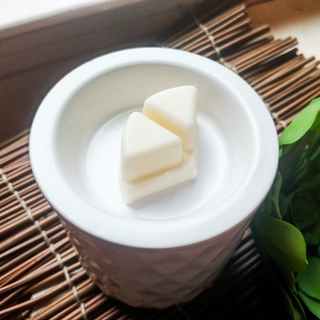 Trio Melts - Macintosh Apple Wax Melt
