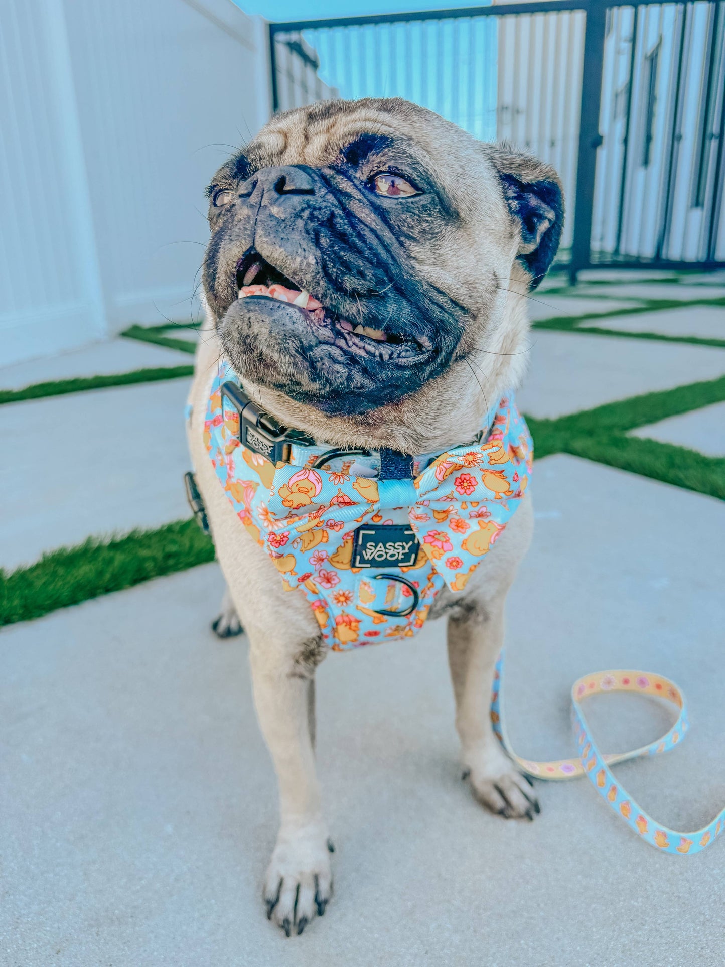 Dog Sailor Bow - Good Duck, Babe!