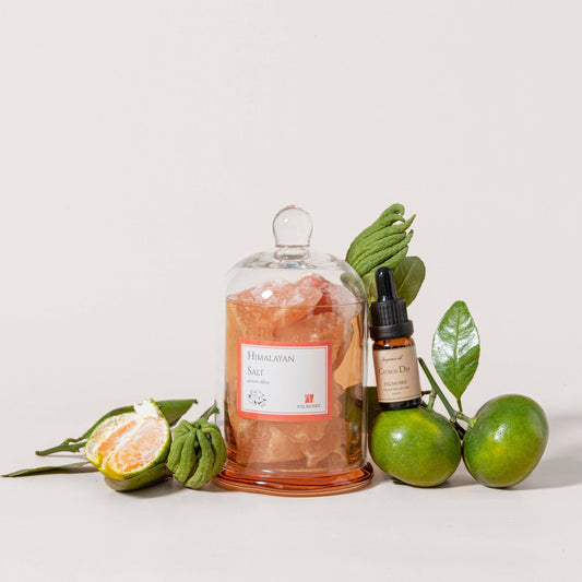 Himalayan Salt Gemstone Diffuser [citrus/jasmine]