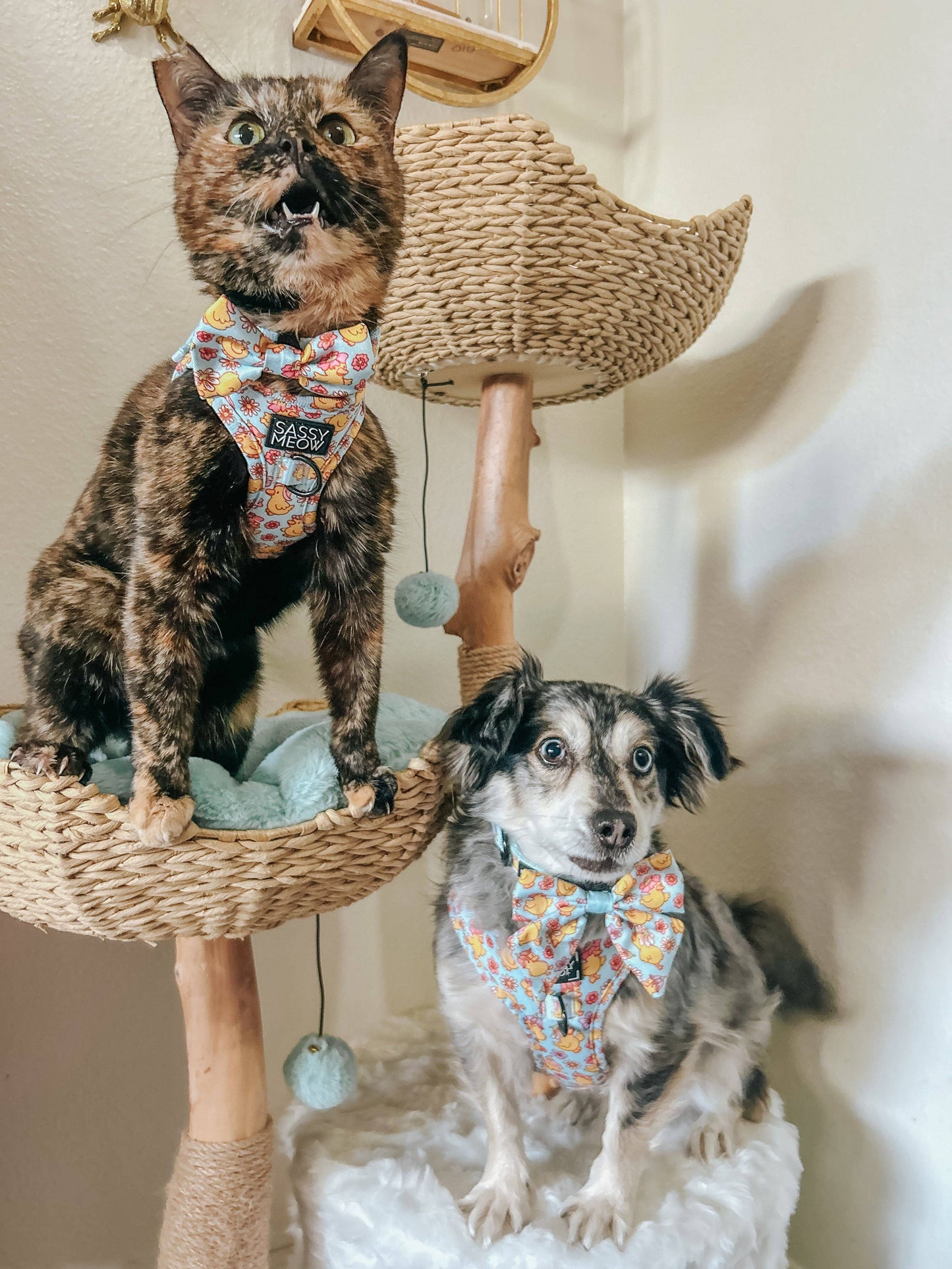 Dog Sailor Bow - Good Duck, Babe!