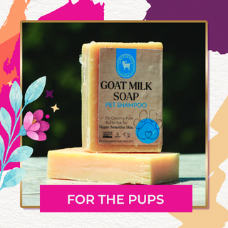 items for your dogs