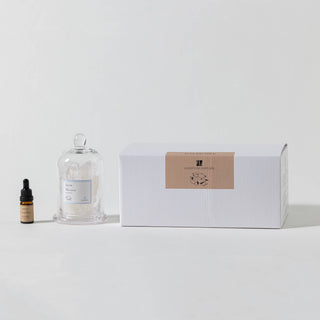 Snow Whisper Gemstone Diffuser [lemon/jasmine]