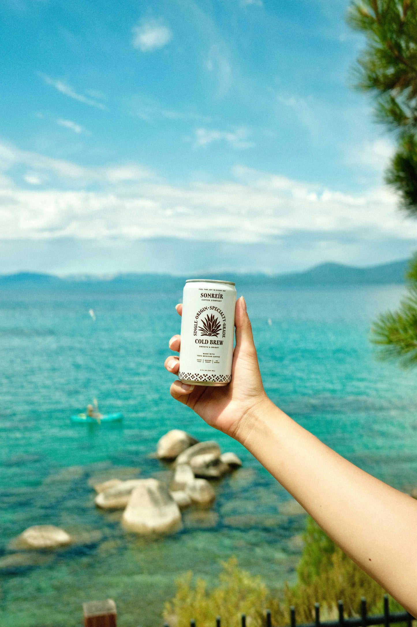 RTD Cold Brew, Single Origin Mexico 8oz, 12 pack