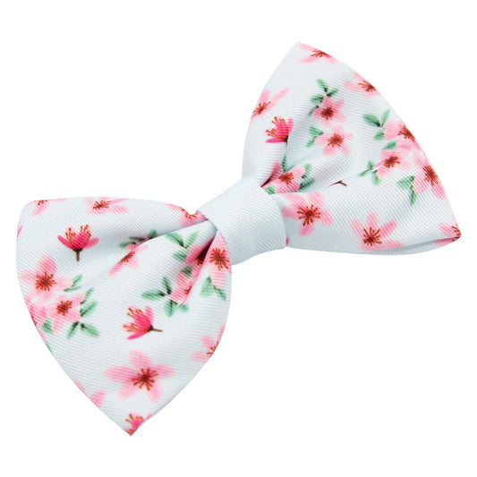 Dog Bowtie - Sakura