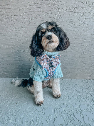 Dog Sailor Bow - Let it Bow