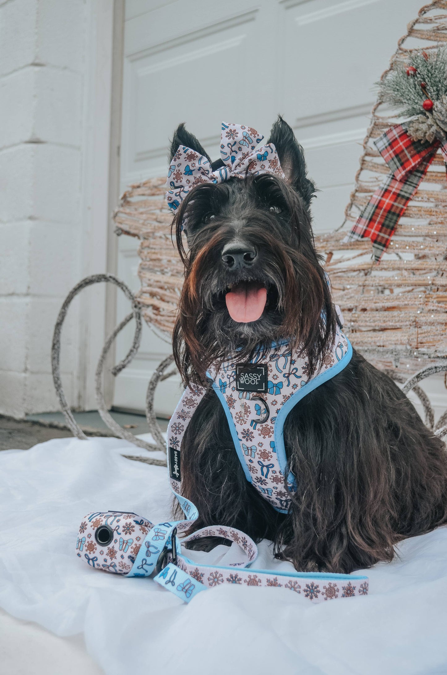 Dog Sailor Bow - Let it Bow