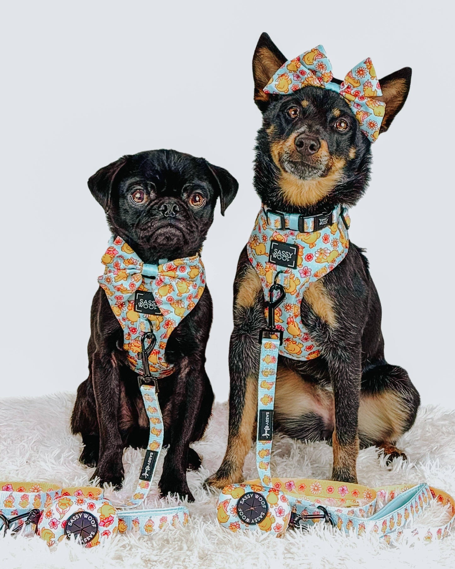 Dog Sailor Bow - Good Duck, Babe!