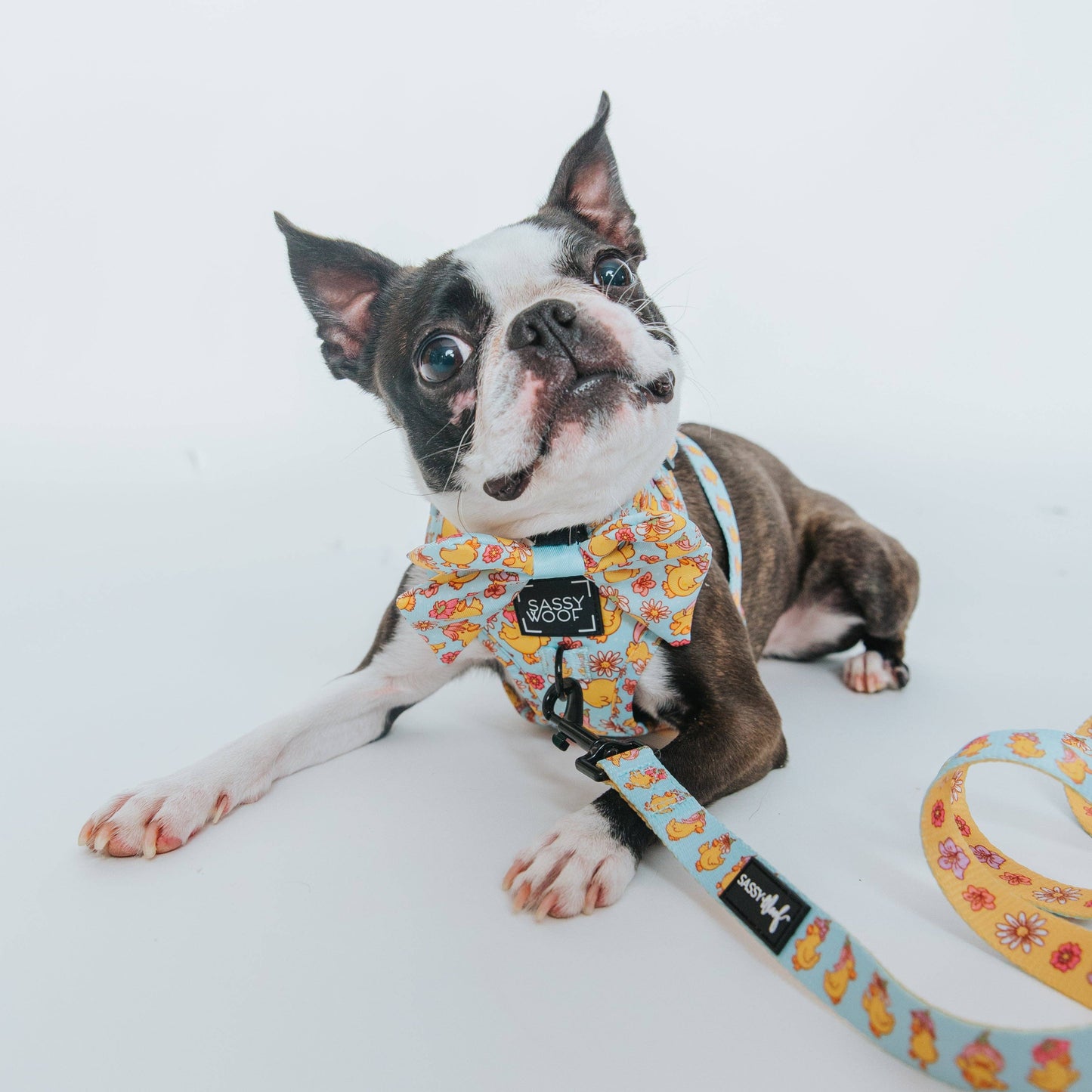 Dog Sailor Bow - Good Duck, Babe!